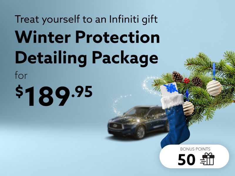 Take advantage of the Winter Protection detailing package