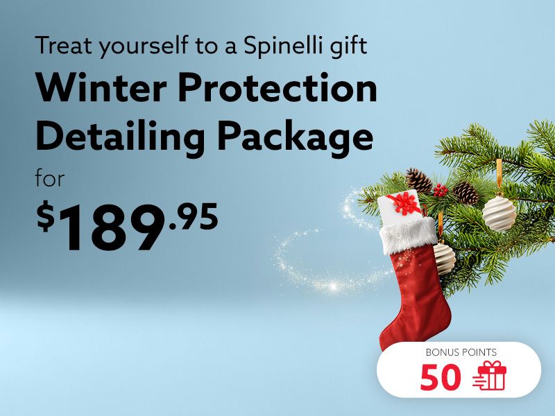 Take advantage of the Winter Protection detailing package