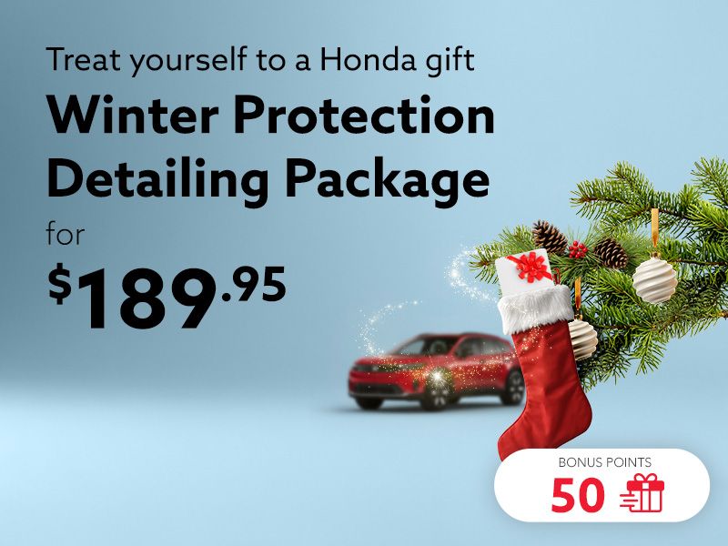 Take advantage of the Winter Protection detailing package