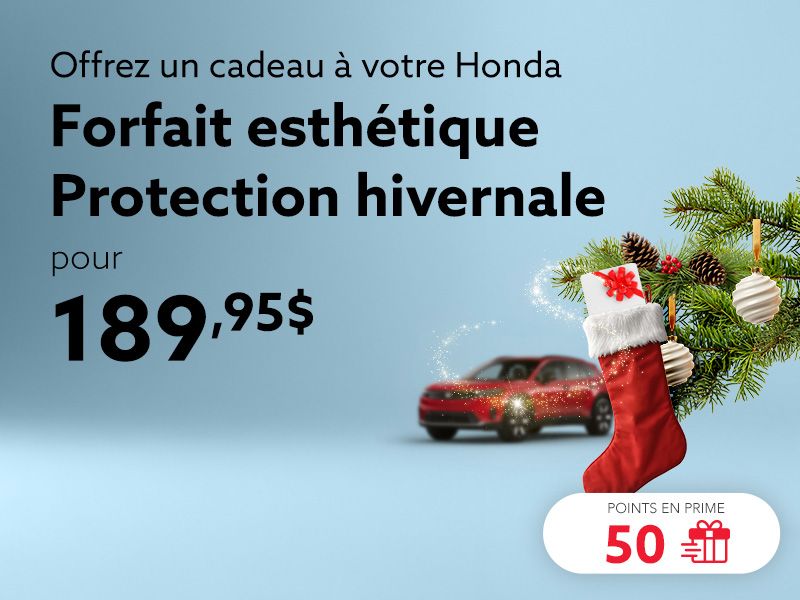 Profitez du forfait esthétique Protection hivernale