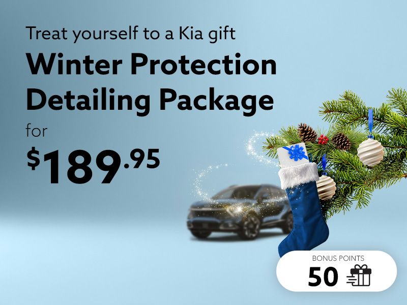 Take advantage of the Winter Protection detailing package