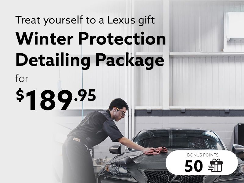 Take advantage of the Winter Protection detailing package
