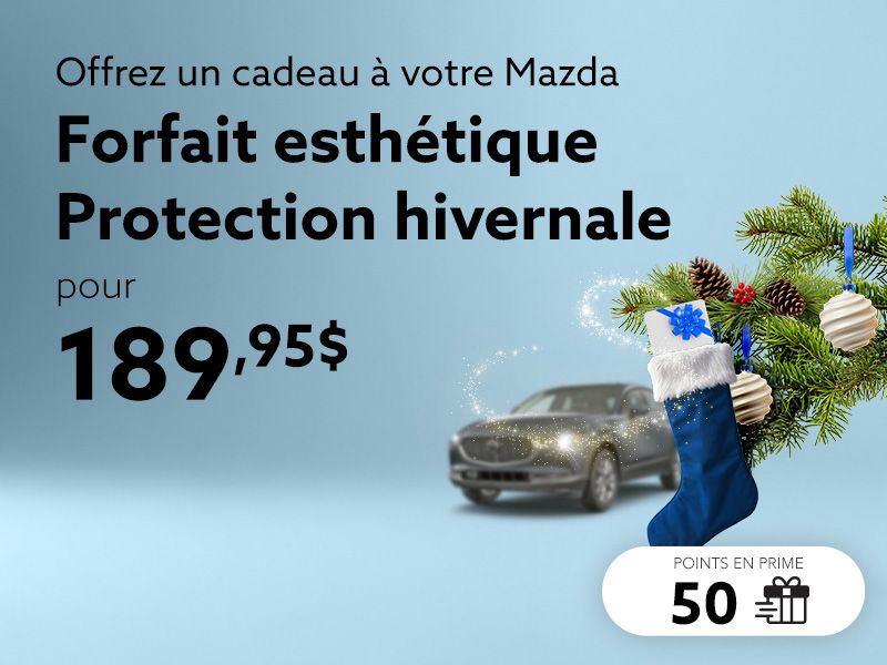 Profitez du forfait esthétique Protection hivernale
