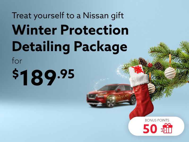 Take advantage of the Winter Protection detailing package
