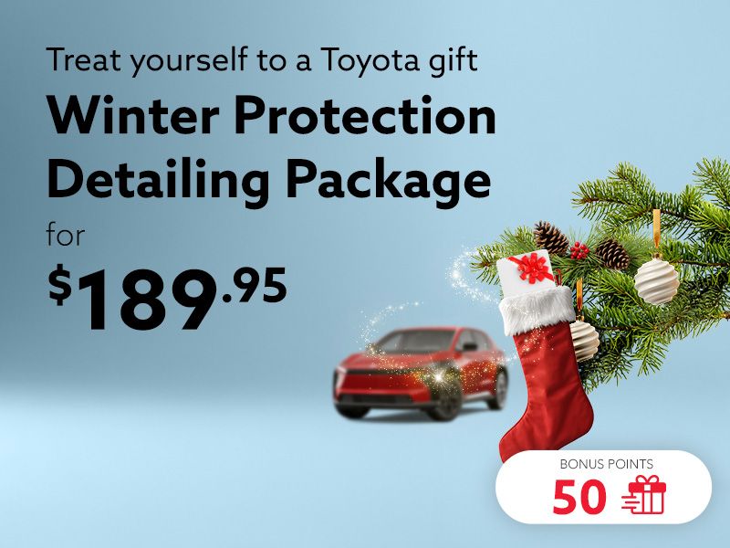 Take advantage of the Winter Protection detailing package