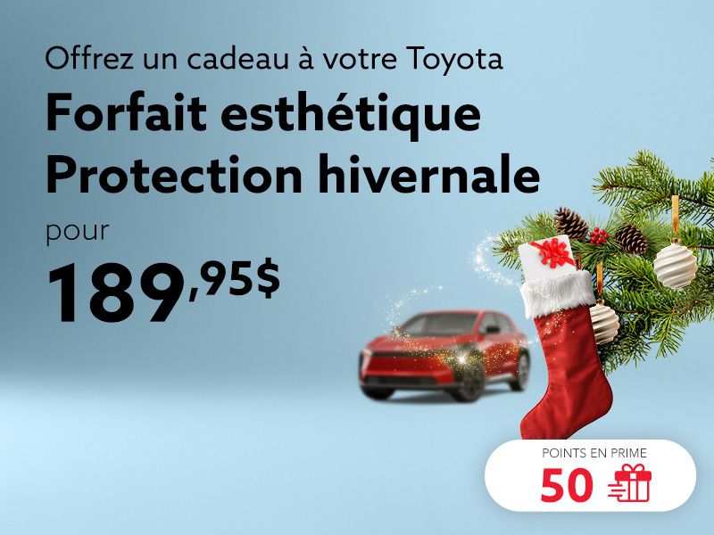 Profitez du forfait esthétique Protection hivernale