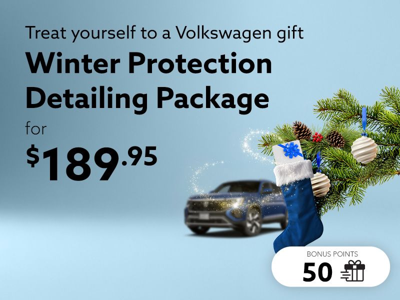 Take advantage of the Winter Protection detailing package