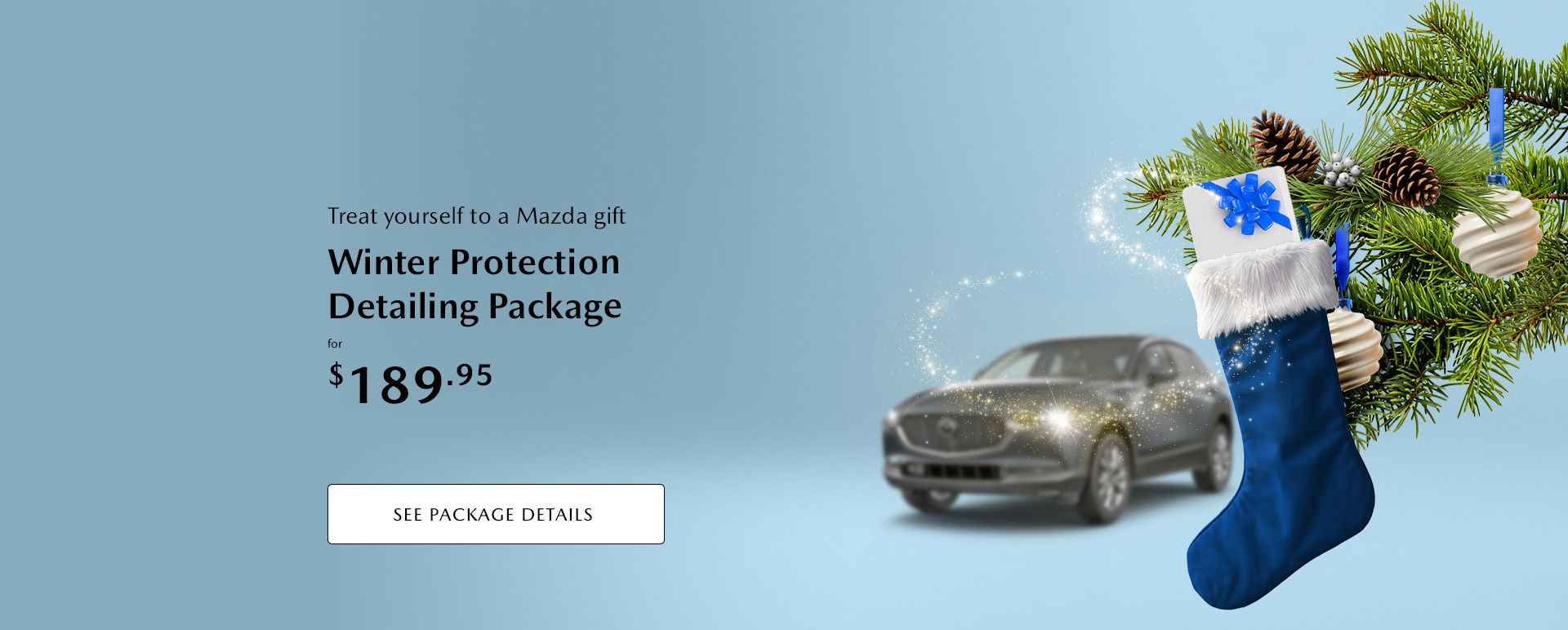 Winter Protection package at $189.95