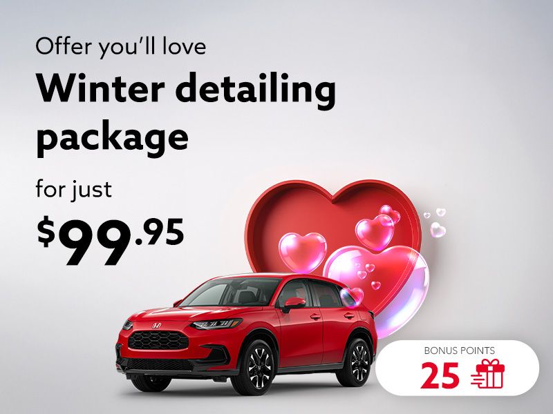 Take advantage of the Winter detailing package