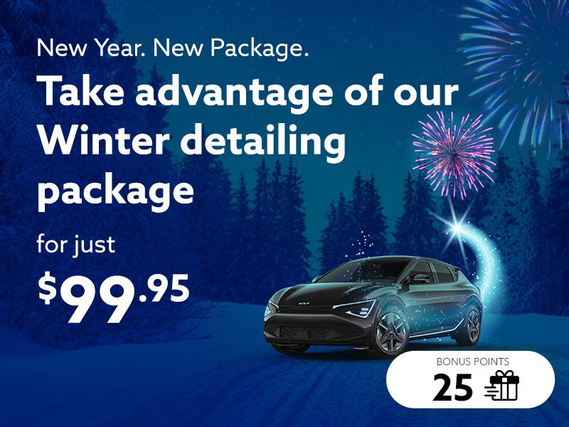 Take advantage of the Winter detailing package