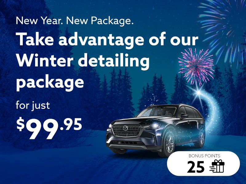 Take advantage of the Winter detailing package
