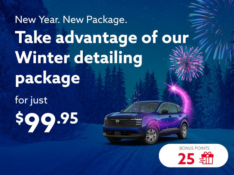 Take advantage of the Winter detailing package
