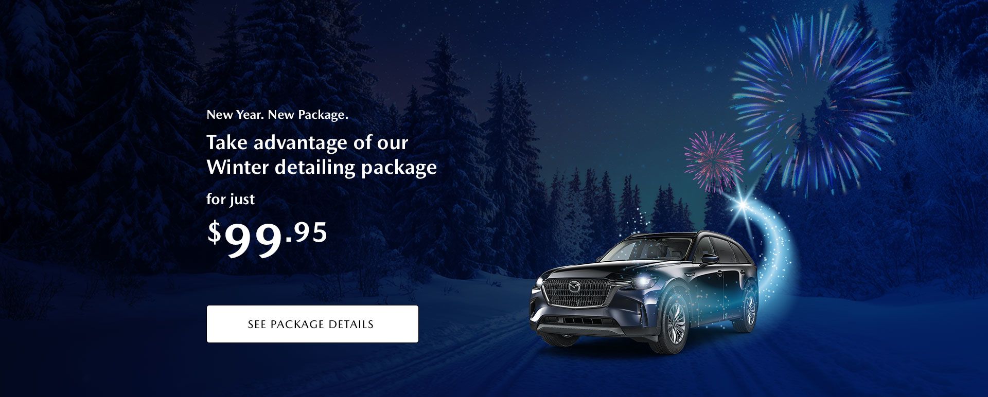 Winter detailing package at $99.95