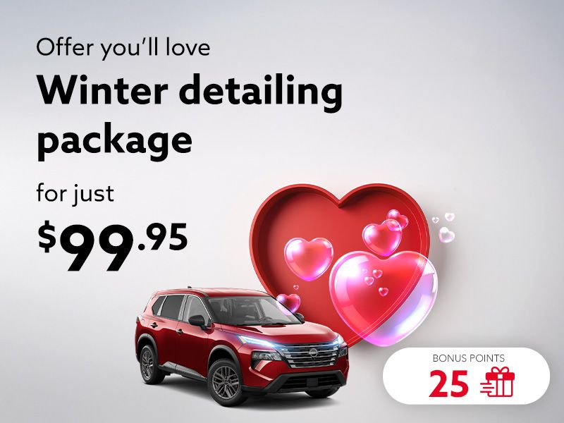 Take advantage of the Winter detailing package
