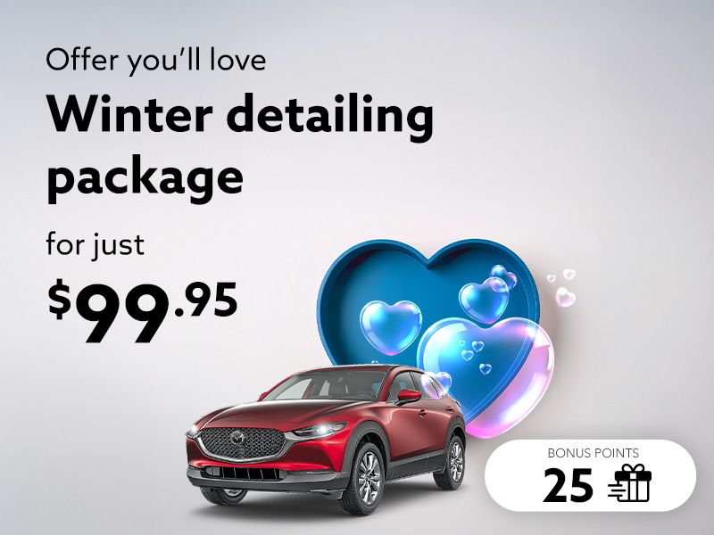 Take advantage of the Winter detailing package
