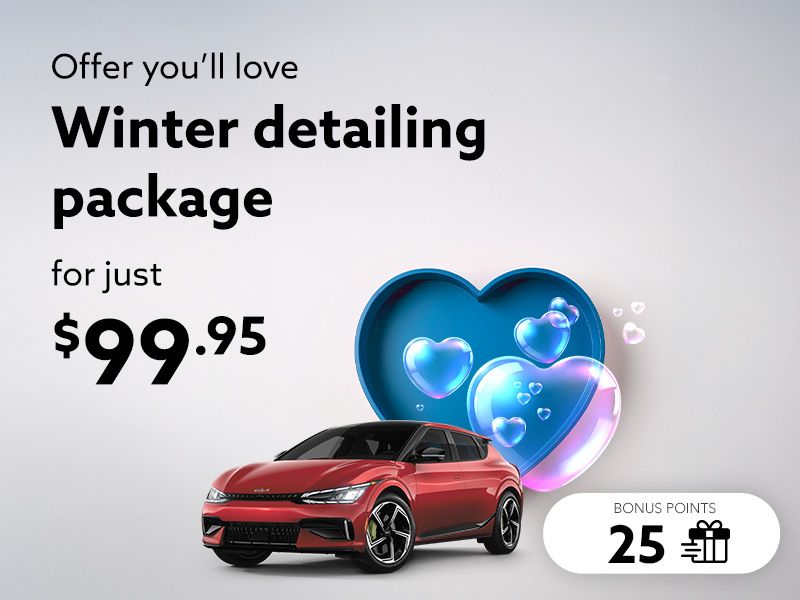 Take advantage of the Winter detailing package