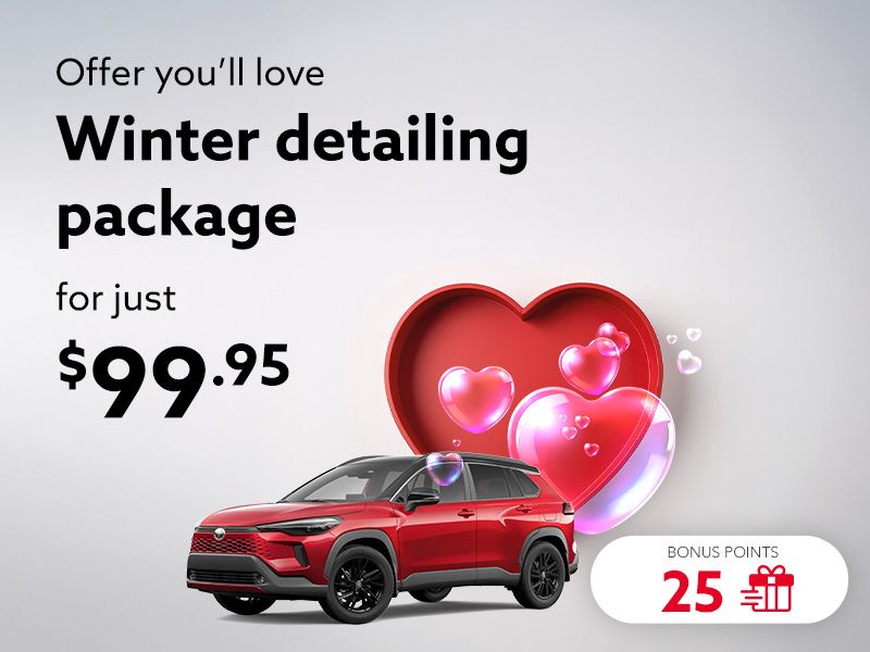 Take advantage of the Winter detailing package