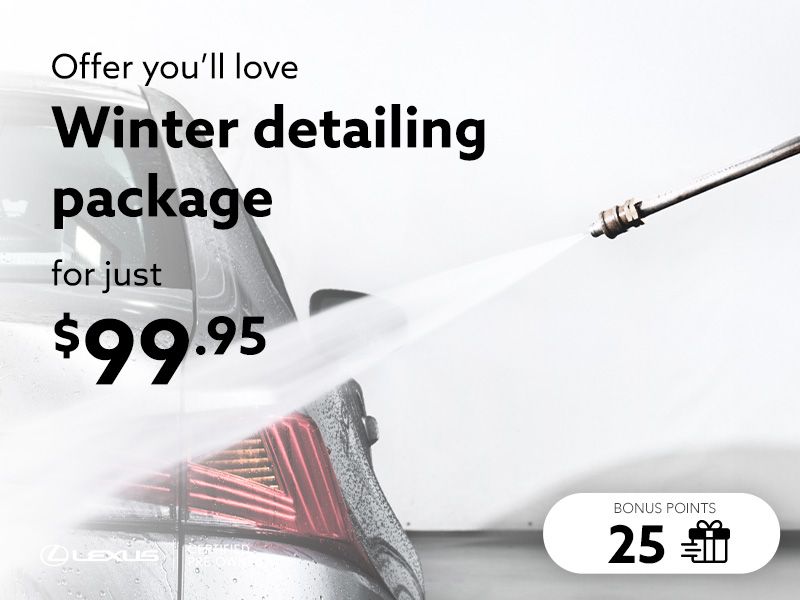 Take advantage of the Winter detailing package