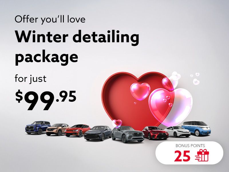 Take advantage of the Winter detailing package