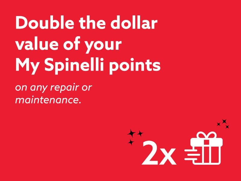 Double the dollar value of your My Spinelli points in February!