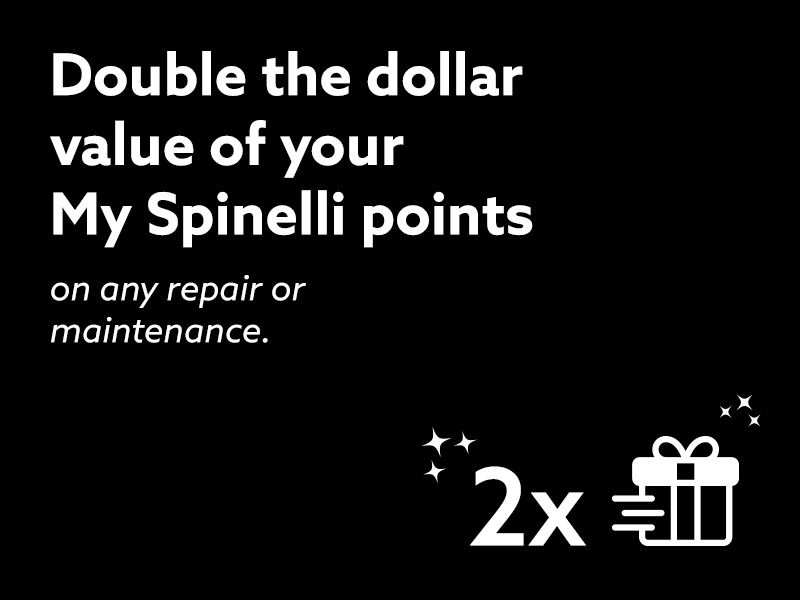Double the dollar value of your My Spinelli points in February!