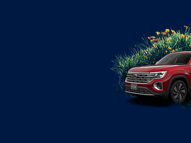 Démarrez le printemps en beauté