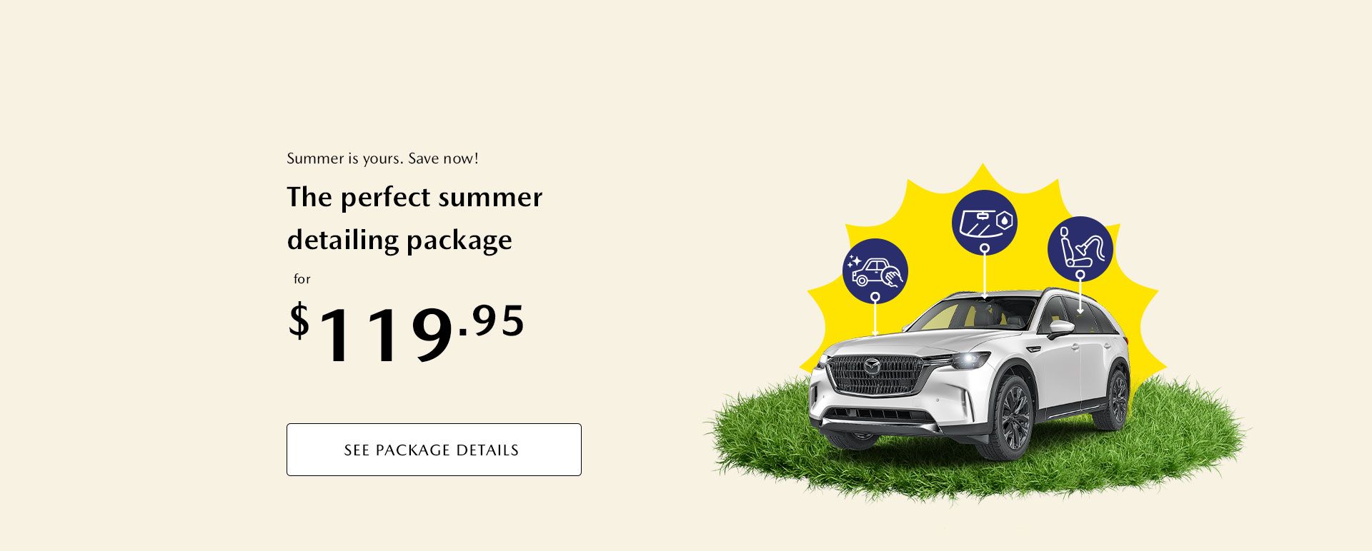 The perfect summer detailing package at $119.95