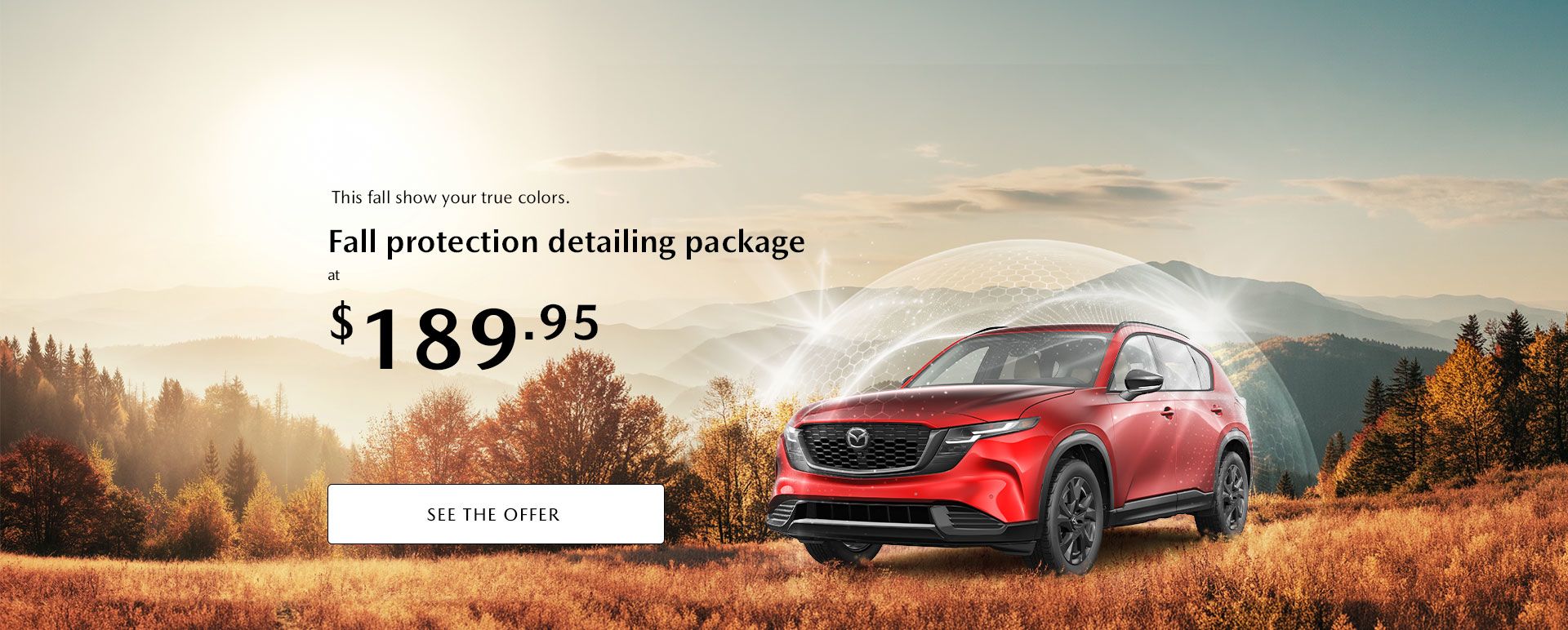 Fall protection detailing package at $189.95*