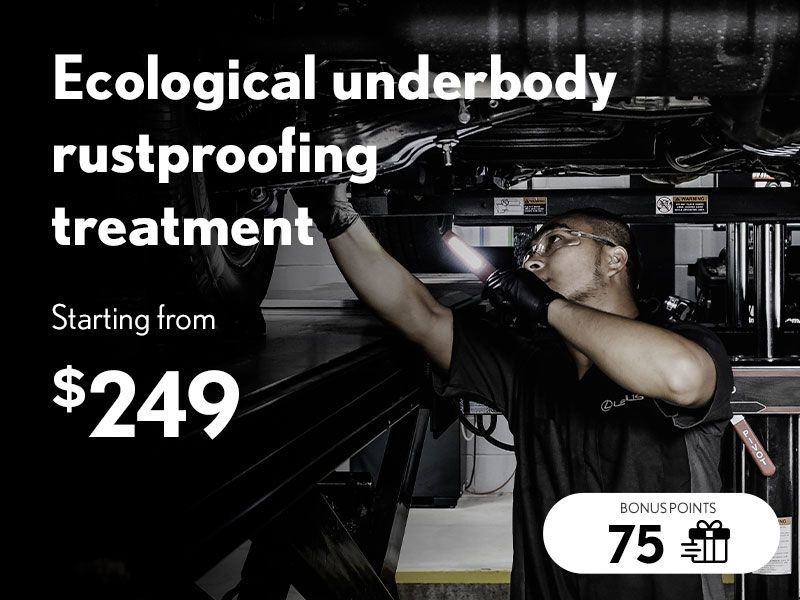 Ecological rustproofing treatment