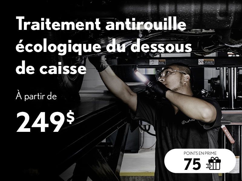 Traitement antirouille écologique (Copie)
