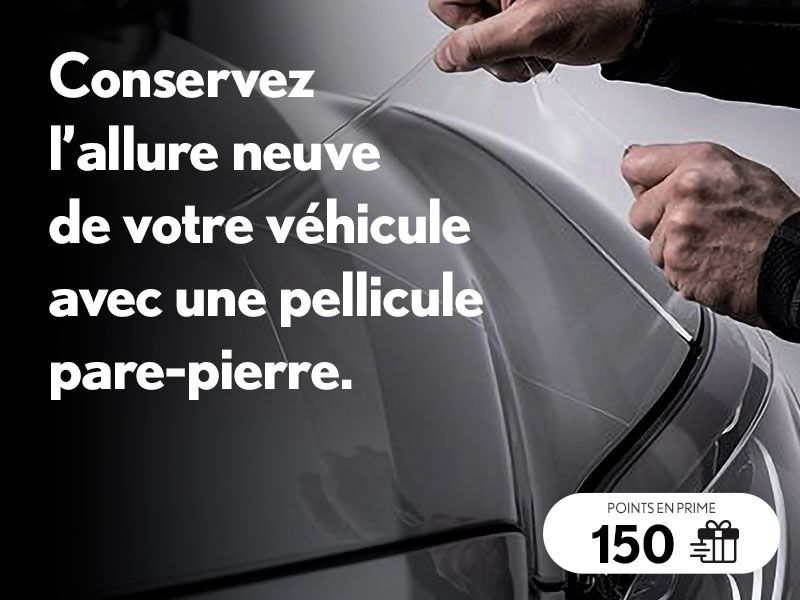 Pellicule pare-pierre