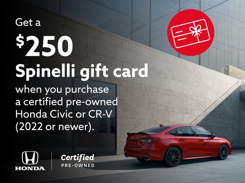 Get a $250 Spinelli gift card