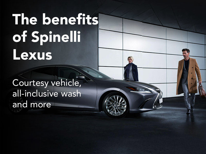 Spinelli Service Excellence