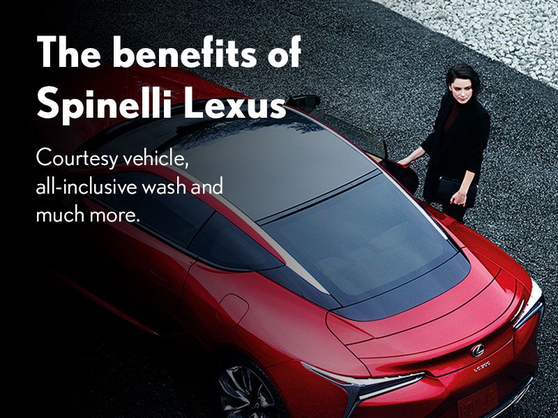 Spinelli Service Excellence