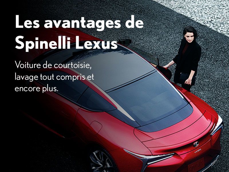 L'excellence du service Spinelli