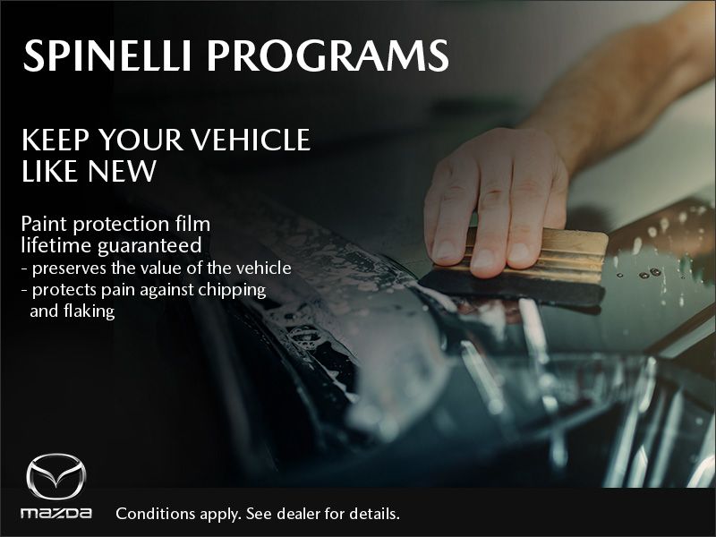 Paint Protection Film