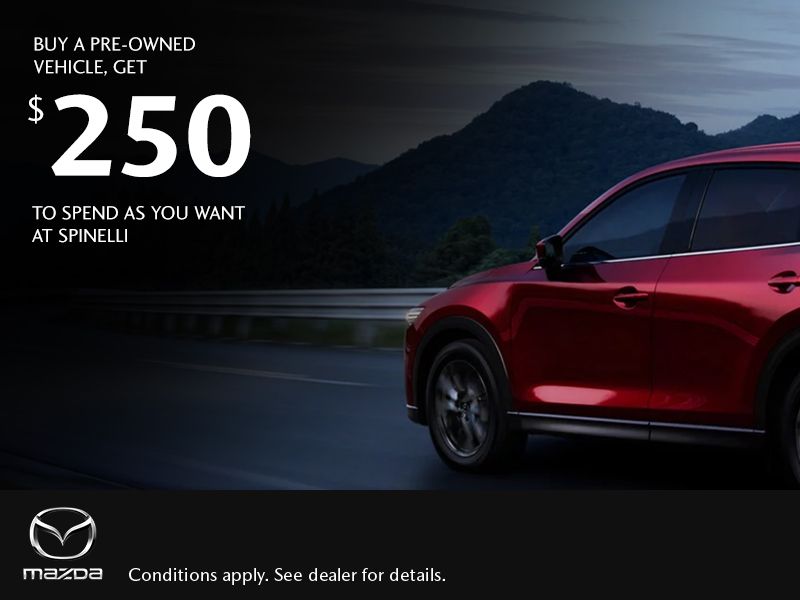 Get a $250 rebate with the purchase of a pre-owned vehicle