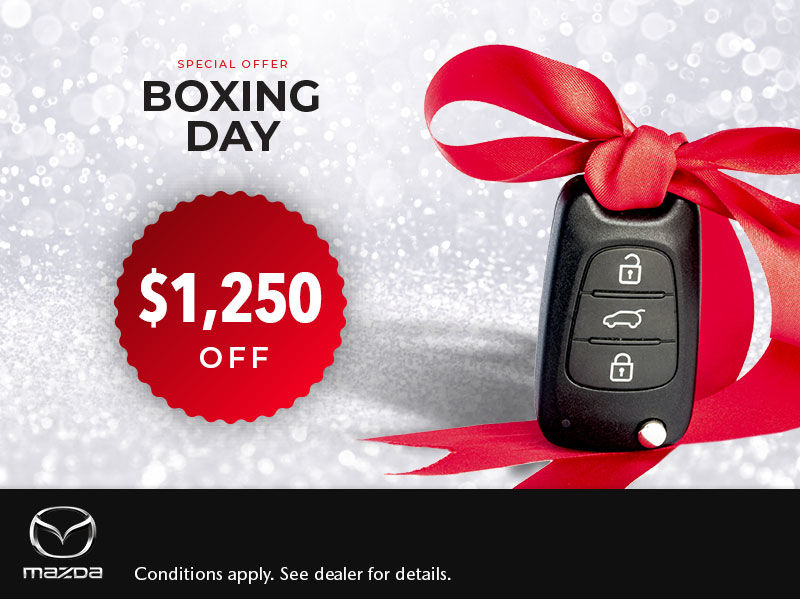 Special Offer - Boxing Day