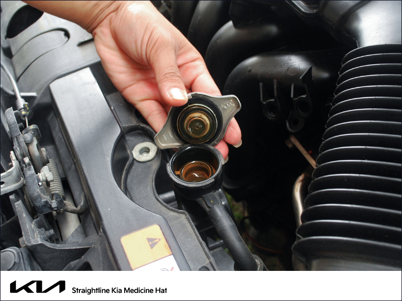 Cooling System Service Special