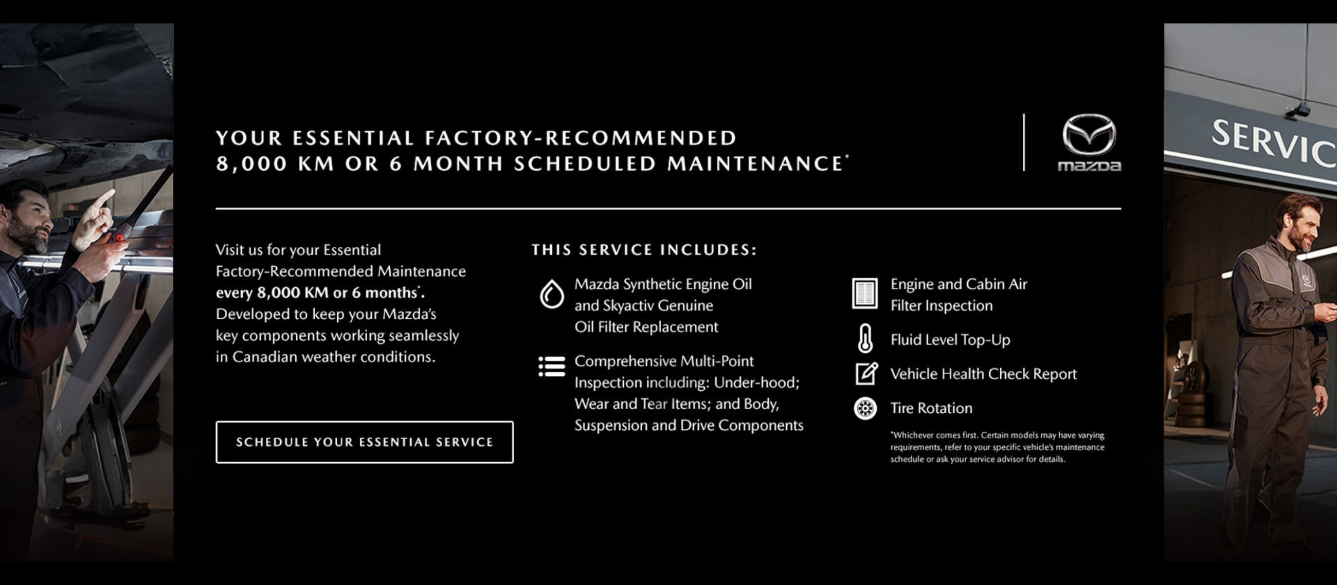 Mazda Maintenance Mazda Maintenance