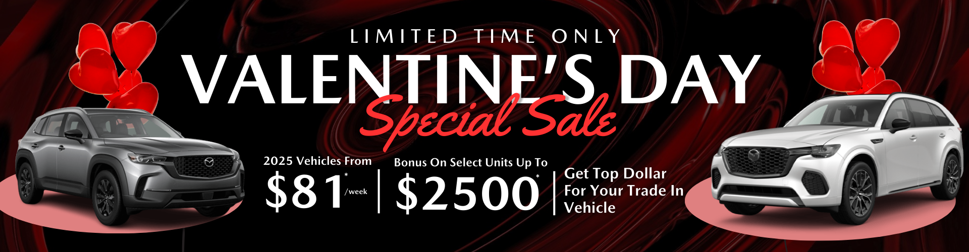 Valentine's Day Sale