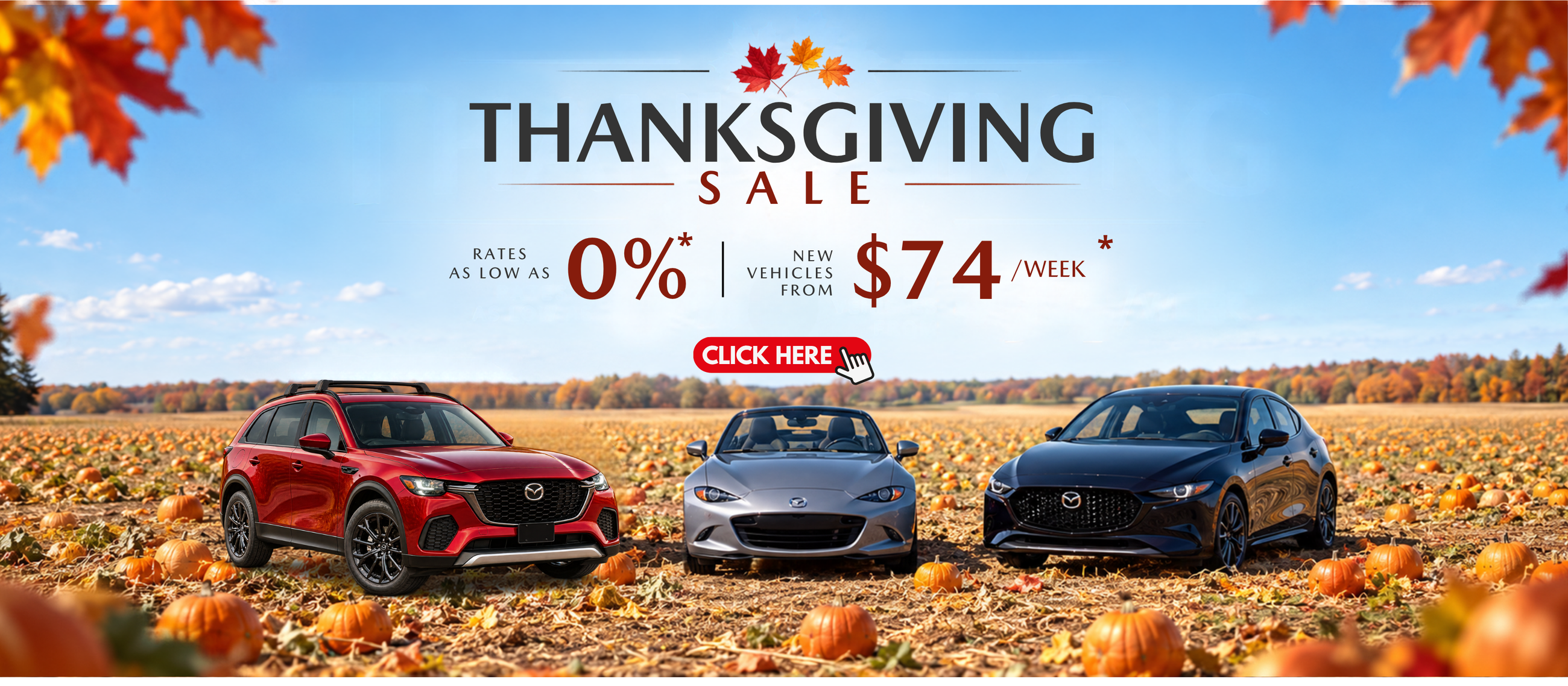 THANKSGIVING SALE THANKSGIVING SALE