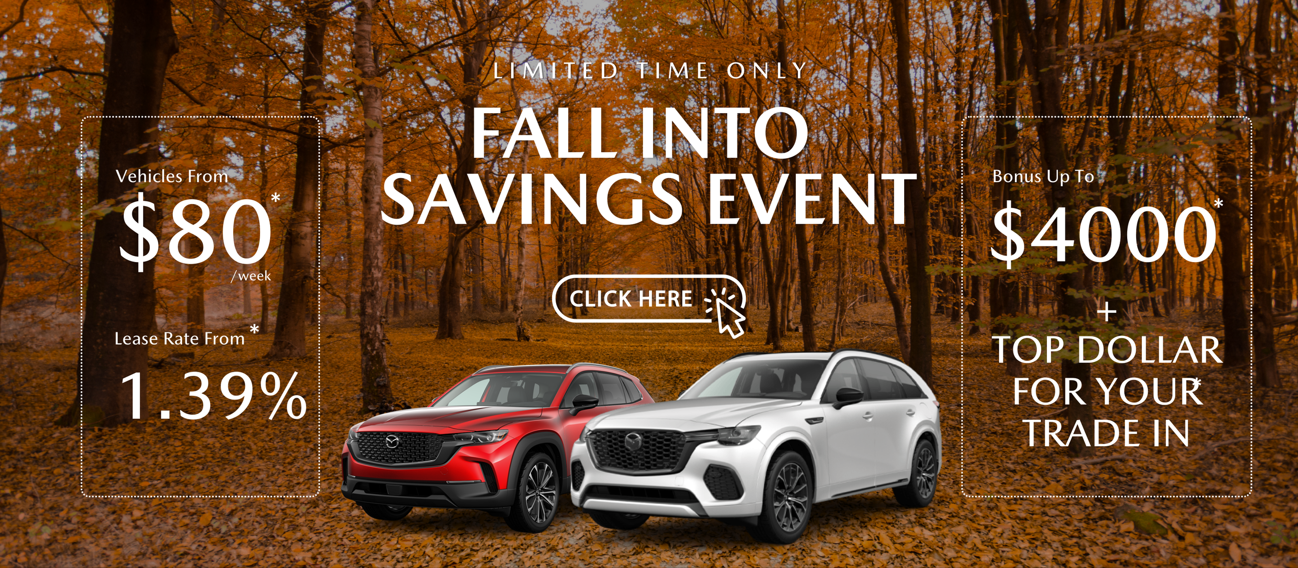 FALL INTO SAVINGS