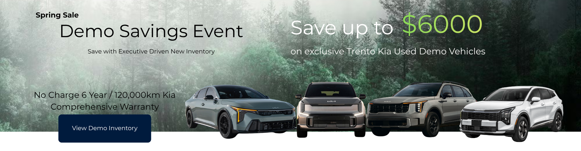 DEMO Executive Sale March