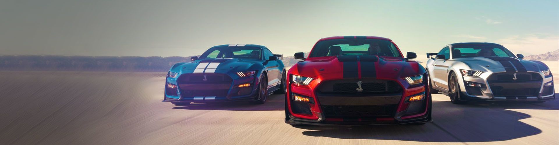 Violette Ford Grand Falls Ford Dealership