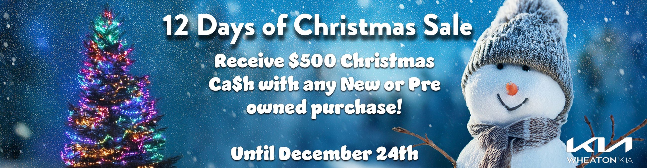 12 Days of Christmas Sale