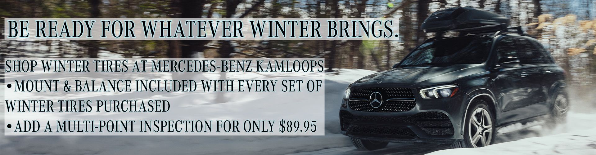 Winter Tire Banner