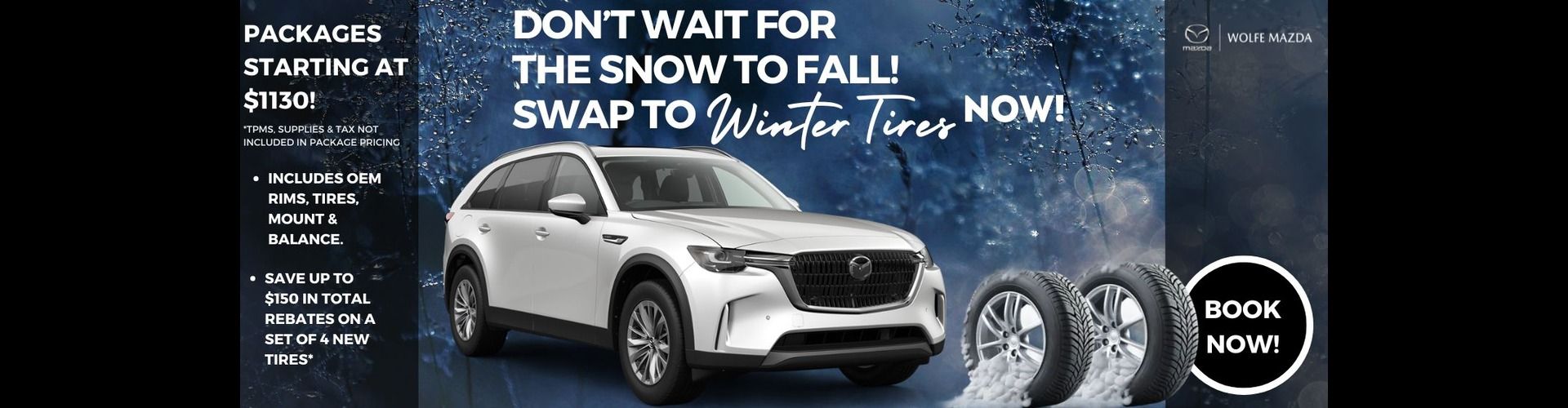 Winter Tire
