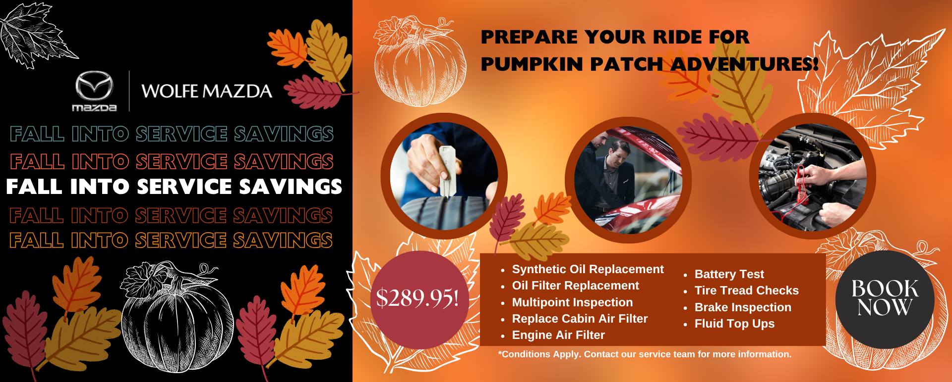 Fall Service Savings Fall Service Savings