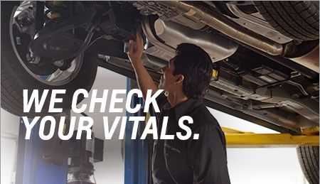 We Check Your Vitals